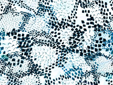 Yılan kusursuz desen.