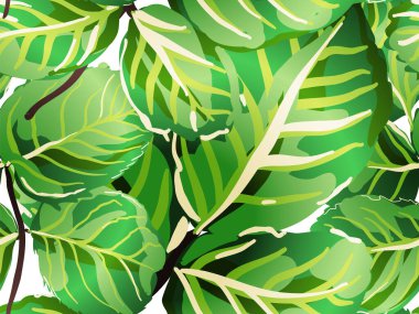 pürüzsüz desen bırakır.