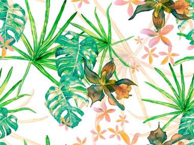 Orkide Kusursuz Desen.