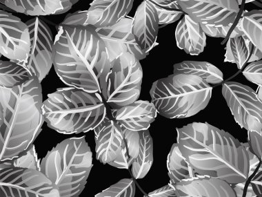 pürüzsüz desen bırakır.