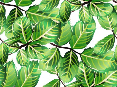 pürüzsüz desen bırakır.