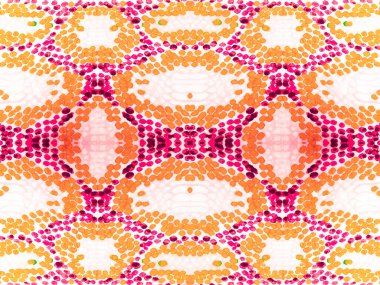 Yılan derisi arkaplanı.