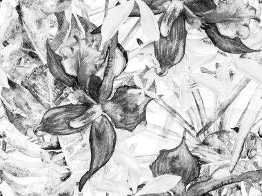 Orkide Kusursuz Desen.