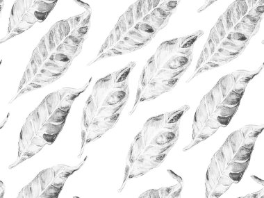 Biyo Jasmin Kusursuz Desen.