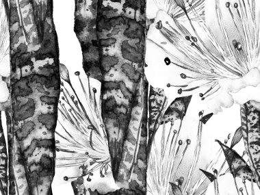 Suluboya Tertemiz Desen 'i Bırakıyor.