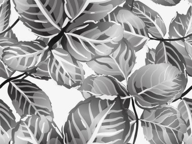 pürüzsüz desen bırakır.