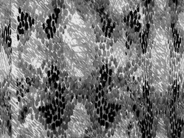 Yılan derisi arkaplanı.