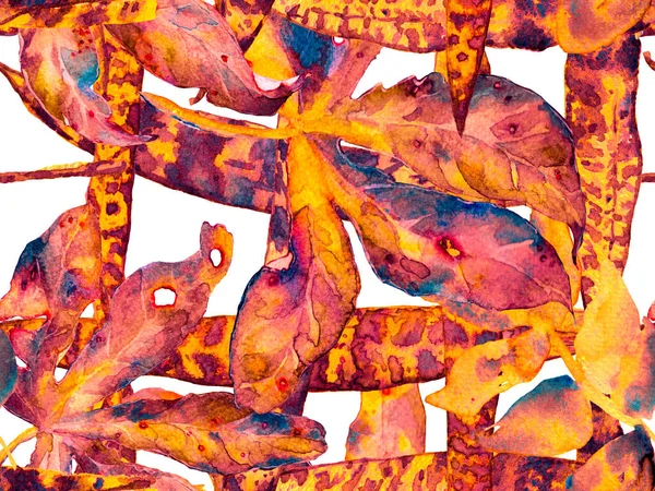 Acuarela hojas patrón sin costura. —  Fotos de Stock