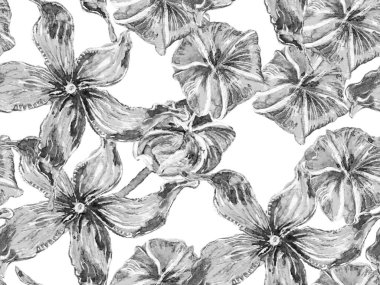 Biyo Jasmin Kusursuz Desen.