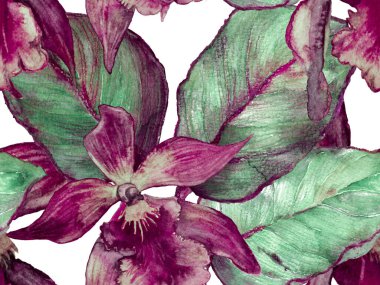 Orkide Kusursuz Desen.