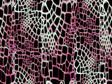 Timsah Kusursuz Desen.