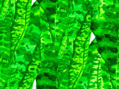 Suluboya Tertemiz Desen 'i Bırakıyor.