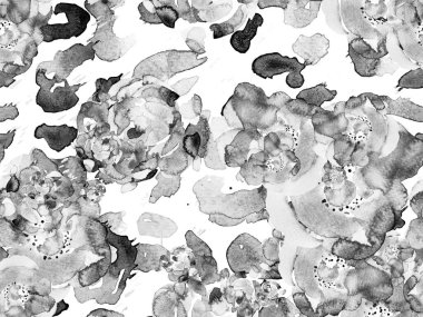 Tropikal Hayvan Düzeni