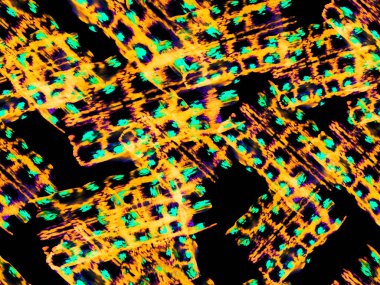 Timsah Kusursuz Desen.