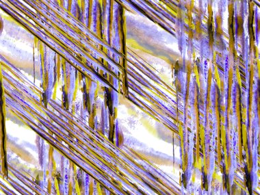 Zebra Kusursuz Deseni.