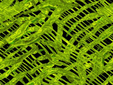 Suluboya kusursuz desen.