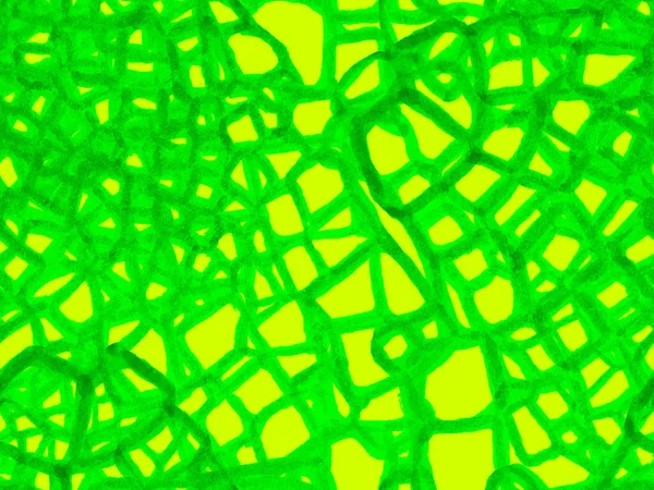 Timsah Kusursuz Desen.