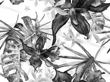 Orkide Kusursuz Desen.