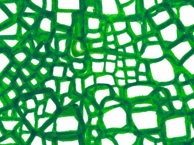 Timsah Kusursuz Desen.