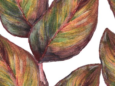 Suluboya kusursuz desen.