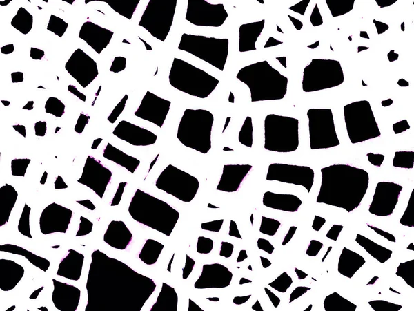 Timsah Kusursuz Desen.