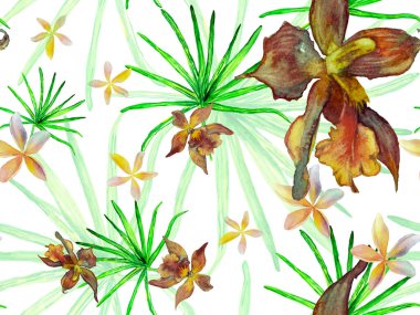 Orkide Kusursuz Desen.