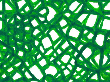 Timsah Kusursuz Desen.