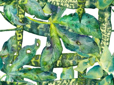 Suluboya Tertemiz Desen 'i Bırakıyor.