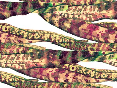 Suluboya Tertemiz Desen 'i Bırakıyor.