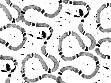 Yılan kusursuz desen.