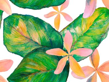 Orkide Kusursuz Desen.