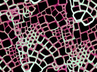 Timsah Kusursuz Desen.