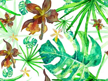 Orkide Kusursuz Desen.