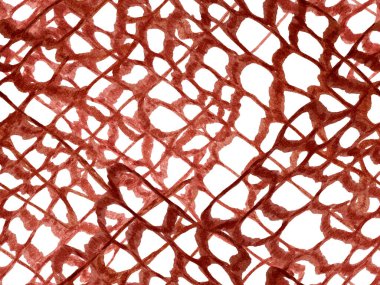 Timsah Kusursuz Desen.