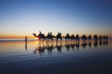 Cable Beach, günbatımı, Broome, Batı Avustralya boyunca yürüyüş Develer