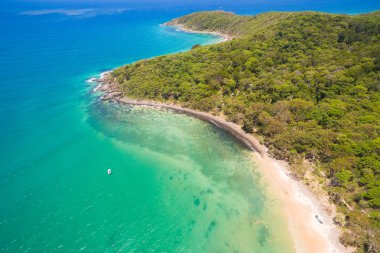 Hava fotoğrafı ana plaj ve çevreleyen ormanın Noosa Milli Parkı, Sunshine Coast, Queensland, Avustralya.