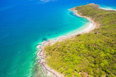 Hava fotoğrafı ana plaj ve çevreleyen ormanın Noosa Milli Parkı, Sunshine Coast, Queensland, Avustralya.