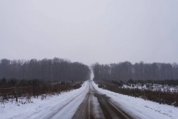 Straße durch Ackerland und verschneite Landschaft in der Nähe von avilla, indiana, vereinigte staaten von amerika. — Stockfoto
