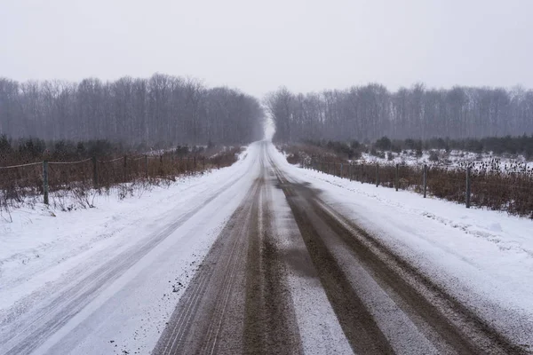 Дорога через сельскохозяйственные угодья и заснеженный ландшафт вблизи Авиллы, Индиана, Соединенные Штаты Америки . Стоковое Изображение