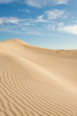 Gün batımı aydınlatır son ışığı kum tepeleri Kanguru Adası, Güney Avustralya, Avustralya küçük Sahra'da dalgaların. Kum tepeleri doku.