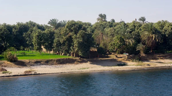 Mısır Nil gezisi, güzel bir