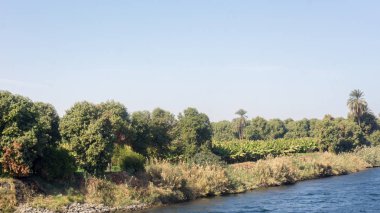 Mısır Nil gezisi, güzel bir