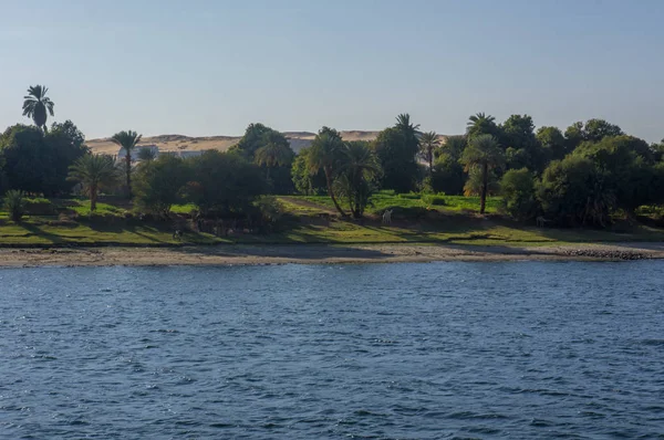 Egito Cruzeiro do Nilo, um agradável — Fotografia de Stock