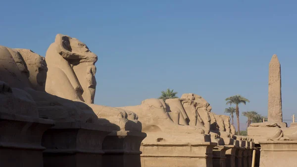 Ερείπια της μια αρχαία ναός της Αιγύπτου με αγάλματα και στήλες — Φωτογραφία Αρχείου