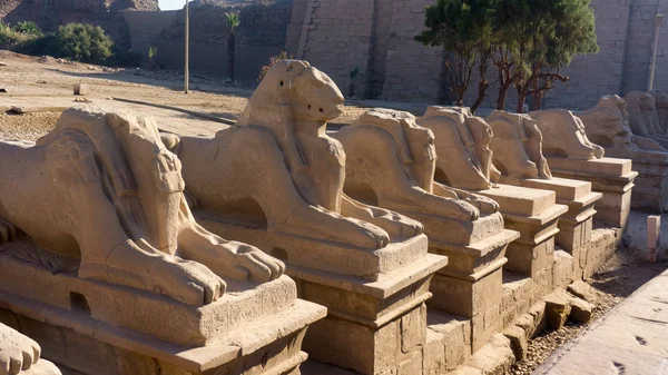 Ruinas de un antiguo templo de Egipto con estatuas y columnas — Foto de Stock