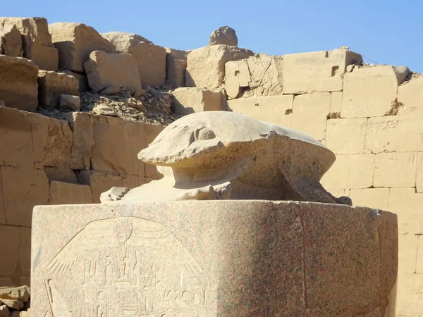Temple égyptien ancien scarabus sculpture — Photo