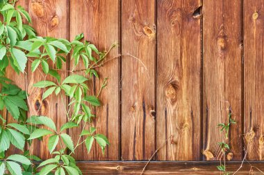 arka arkaya eski ahşap kaba doku arka plan