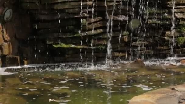 Cascata Cachoeira 01 — Vídeo de Stock