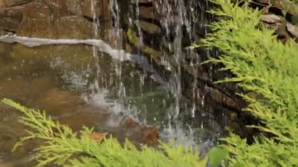 Cascade Waterfall 03 — Stock Video