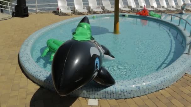 Tiburón inflable en la piscina — Vídeos de Stock